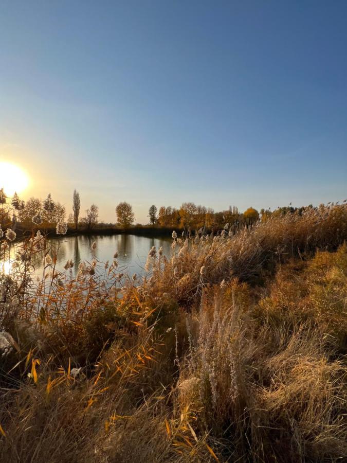 Чистые Пруды Bishkek Bagian luar foto