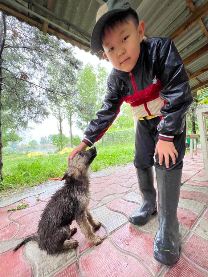 Чистые Пруды Bishkek Bagian luar foto