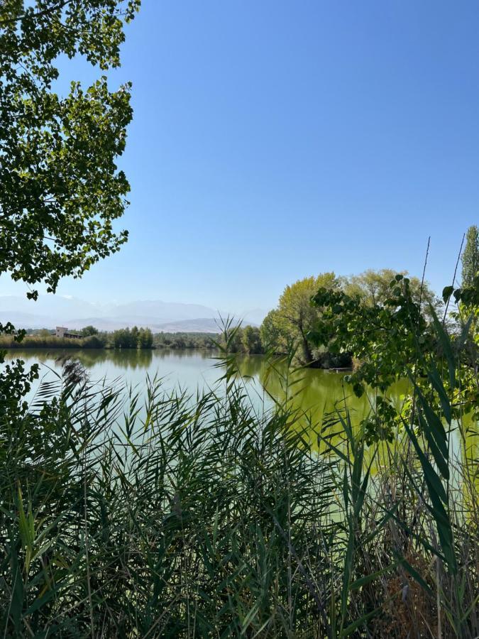 Чистые Пруды Bishkek Bagian luar foto