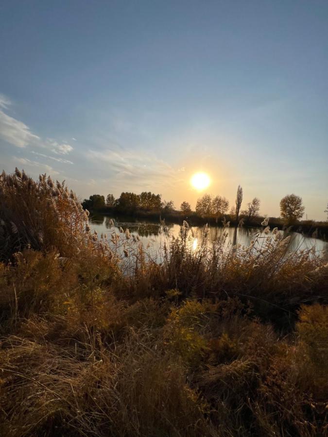 Чистые Пруды Bishkek Bagian luar foto