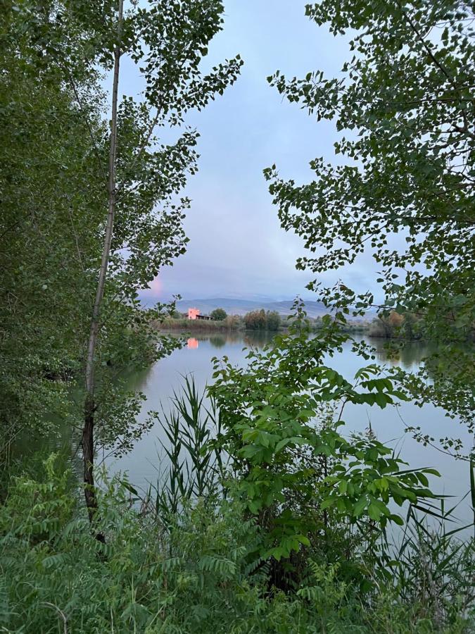 Чистые Пруды Bishkek Bagian luar foto